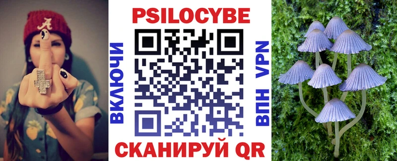 Купить  Змеиногорск  Псилоцибиновые грибы GOLDEN TEACHER 
