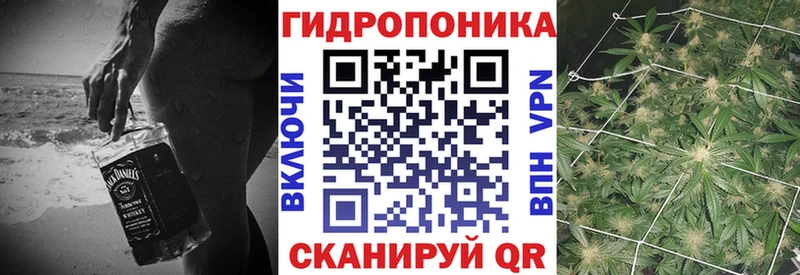Купить где  Змеиногорск  Бошки Шишки сатива 